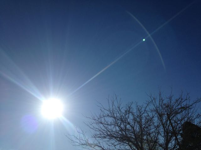 Sun_SpringForward_ShannonYvonneMoreau