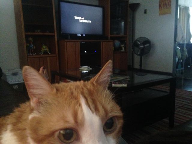 FievelandSenseandSensibility